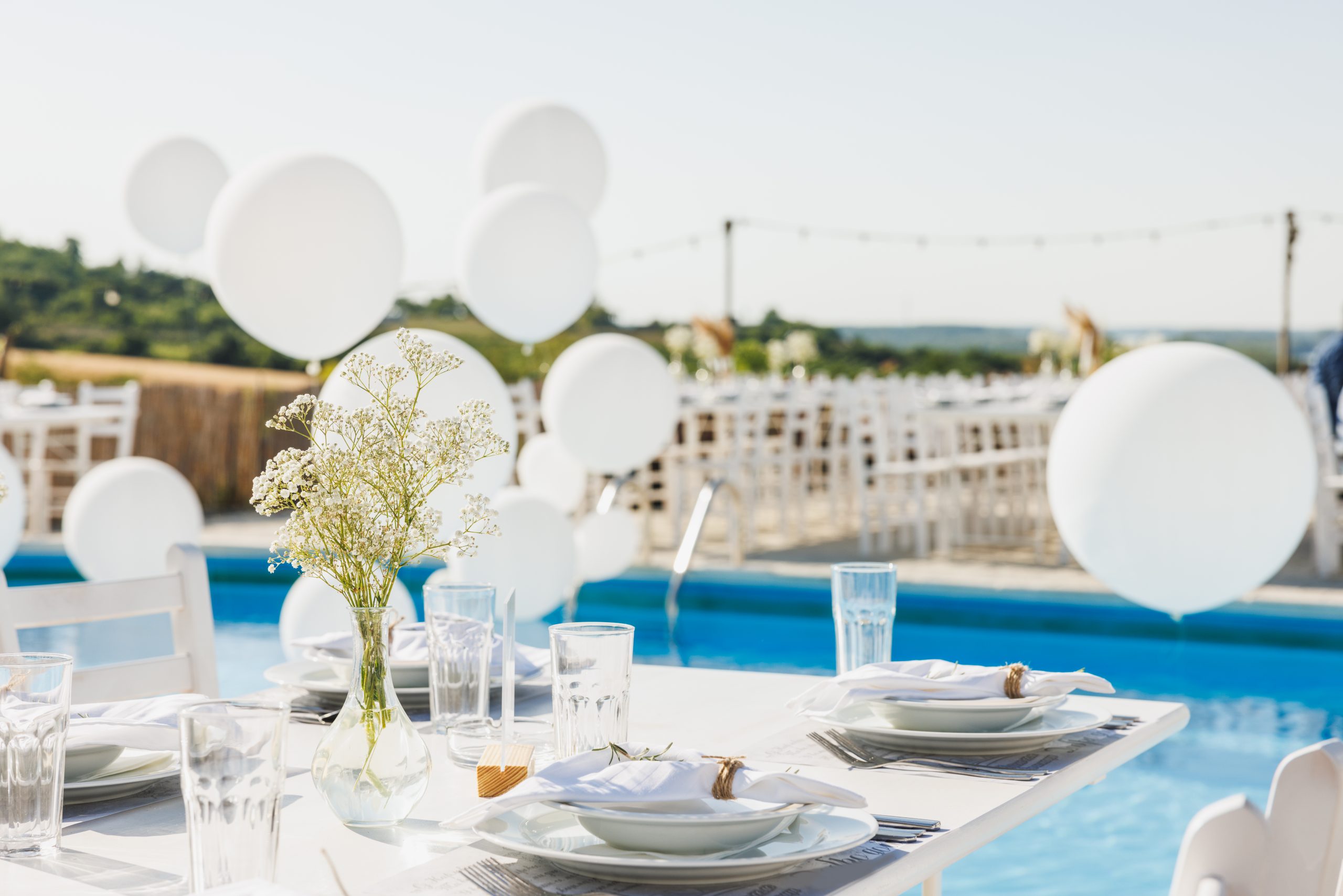 Wedding pool party with balloons in the backyard near to vineyard.